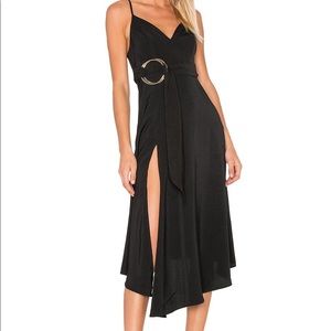 Shona Joy cocktail dress.